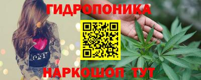 ПСИЛОЦИБИНОВЫЕ ГРИБЫ Коммунар