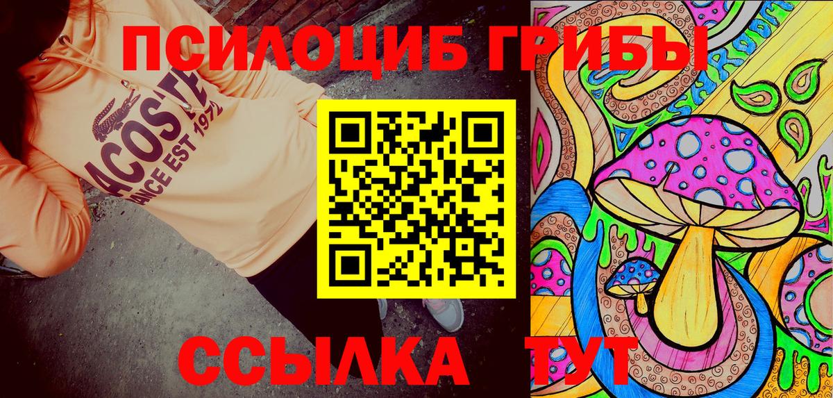 Кизилюрт  наркота  Вход с VPN  Галлюциногенные грибы прущие грибы 
